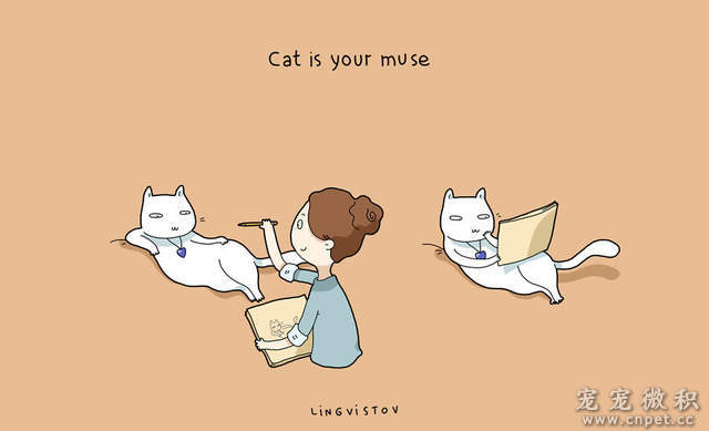 星空·综合体育