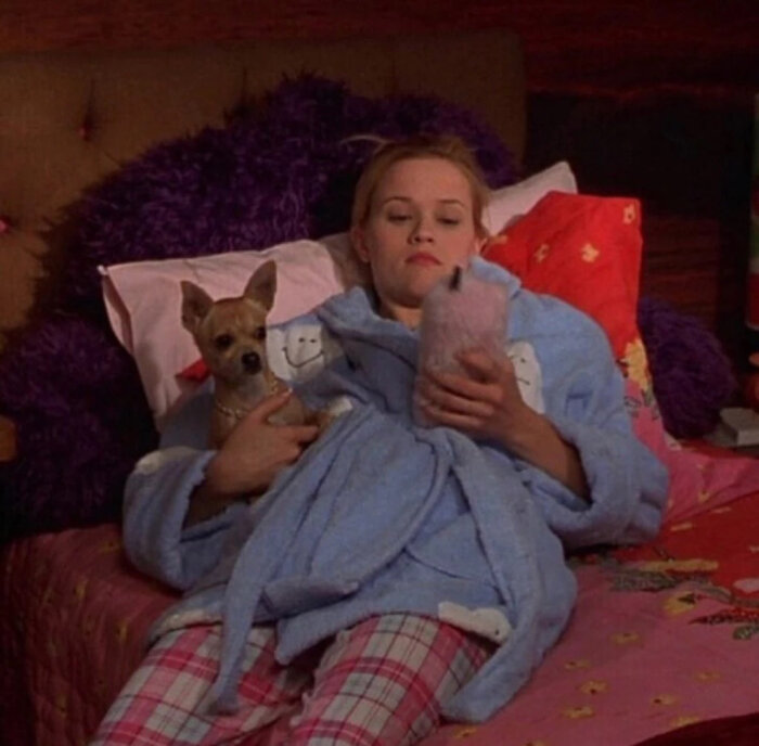 东南大学孙茹雁教授受聘为湖南城市学院规划建筑设计研究院技术顾问【星空综合】(图1) 星空·综合体育