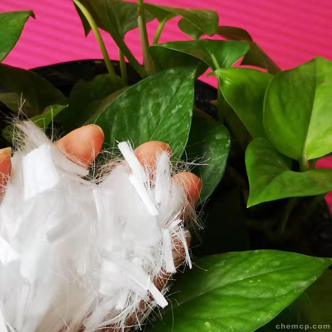 【星空·综合体育】1.7-1.11(图2) 星空综合