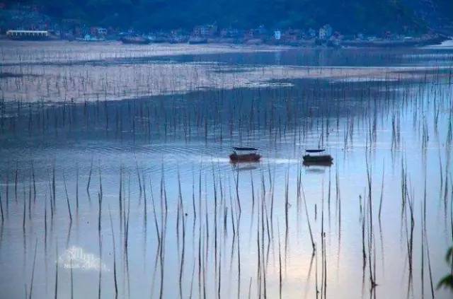 【星空·综合体育】1.7-1.11(图1) 星空综合