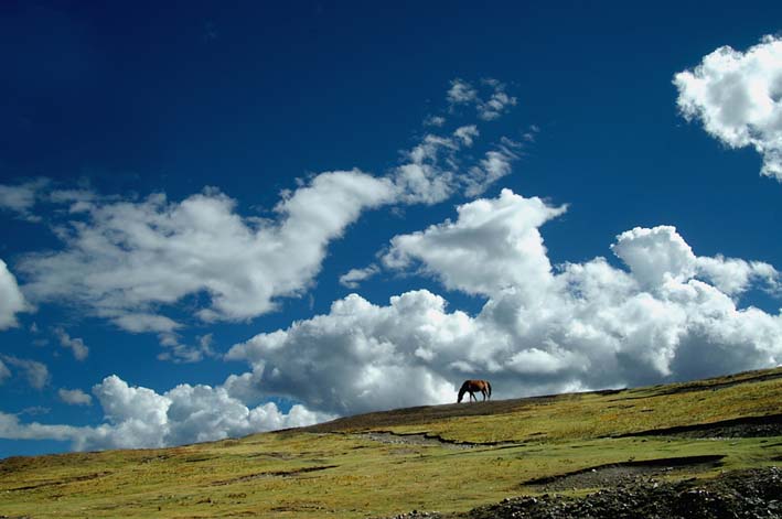 房地产工程管理发展现状、不足及有效途径_星空·综合体育(图1) 星空·综合体育