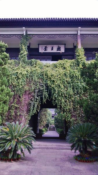 星空·综合体育