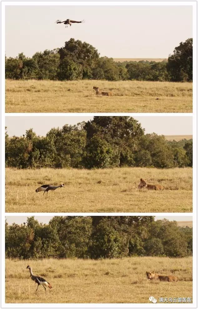 星空·综合体育