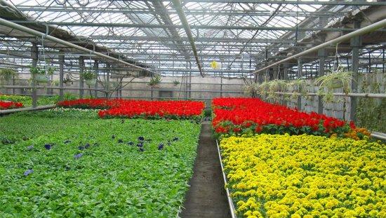 星空·综合体育