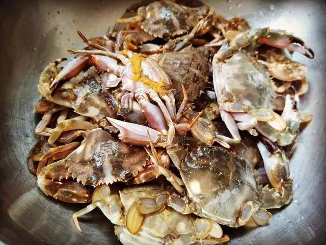 星空·综合体育