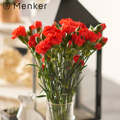 星空·综合体育