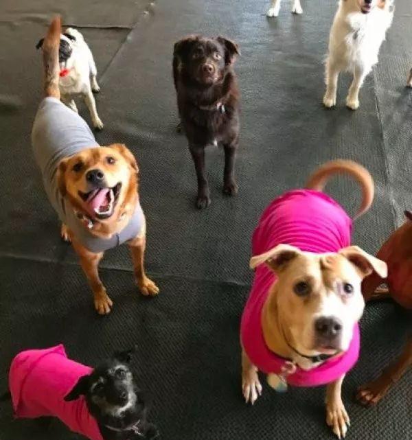 星空综合_开学通知|寒假收心计划(图3) 星空·综合体育