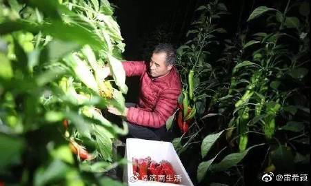 防水工程-水泥砂浆防水层施工‘星空综合’(图2) 星空综合