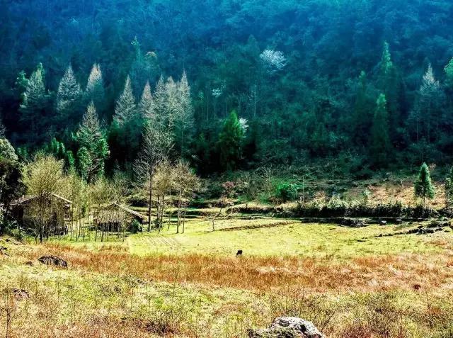 未来社区、科技创新、跨境电商成新亮点“星空·综合体育”(图1) 星空·综合体育