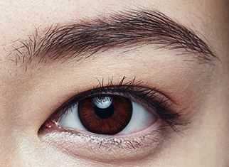 福建省建筑设计研究院第十一届第五次工会会员(职工)代表大会圆满落幕|星空综合(图2) 星空·综合体育