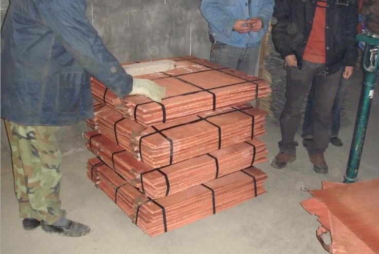 星空·综合体育