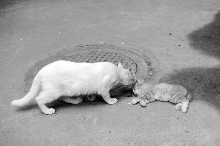 星空·综合体育